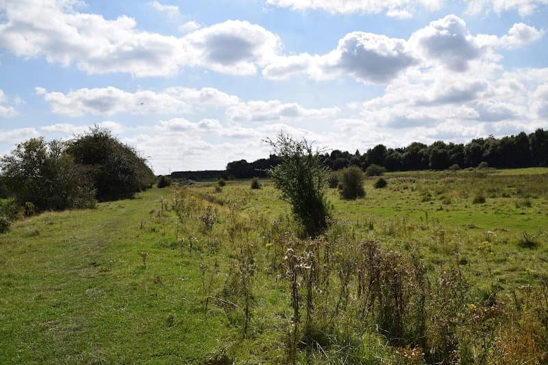 Woodhouse Washlands Nature Reserve - Image 1