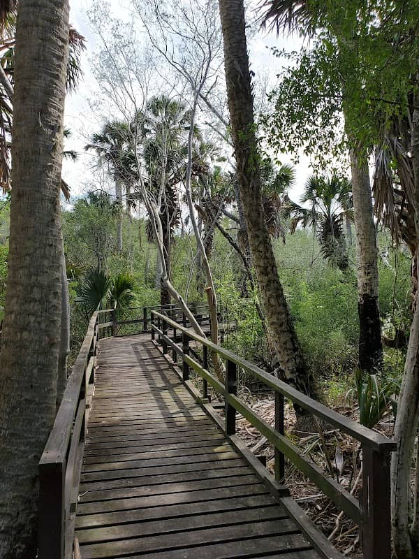 Sabal Palm Sanctuary - Image 2