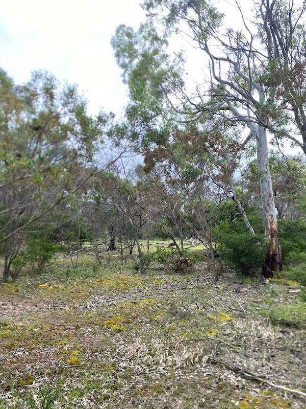 Happy Valley Reservoir West Entrance - Image 2
