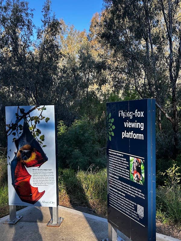 Flying Fox Viewing Platform - Image 2