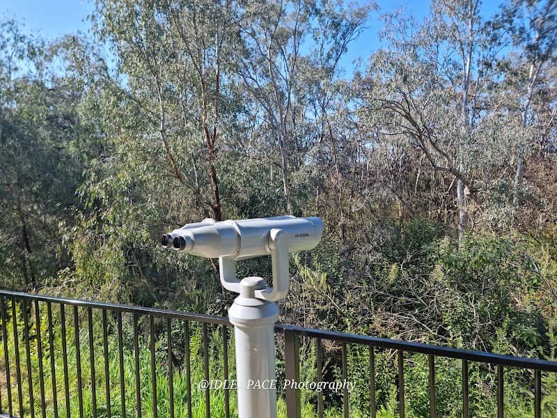 Flying Fox Viewing Platform - Image 3