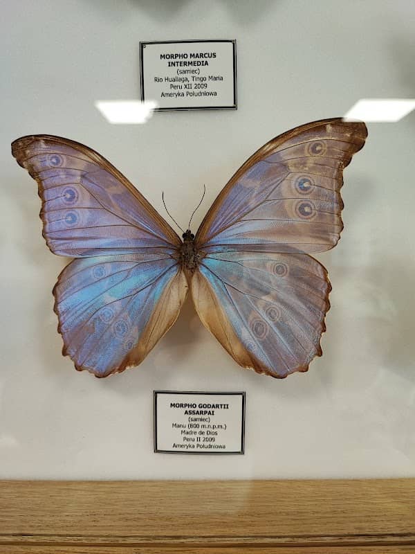 Centrum Edukacji Entomologicznej - Image 1