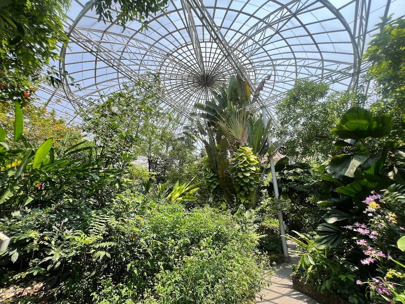 Bangkok Butterfly Garden and Insectarium - Image 1