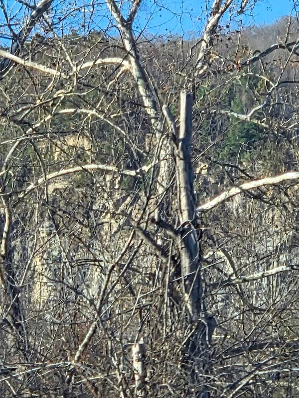 Penrose Boating Access Area - Image 1