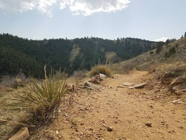 Apex Park - Image 1