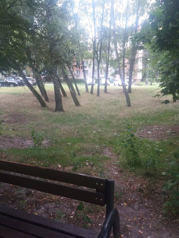 Mini Park - Image 1