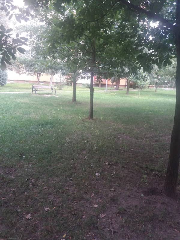 Mini Park - Image 2
