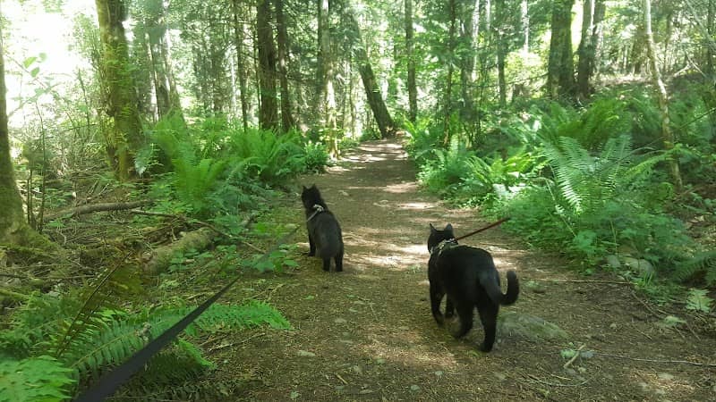 Metchosin Wilderness Park - Image 2