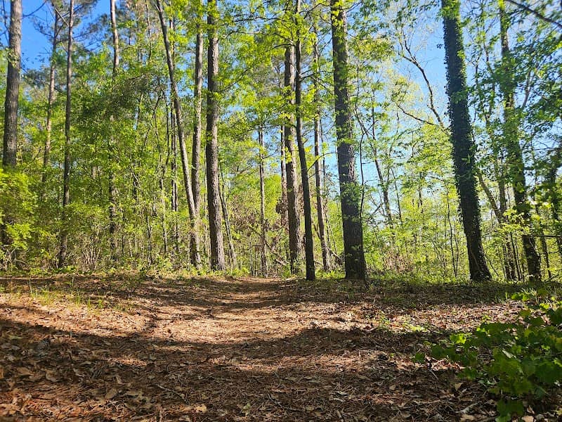 Boyd Pond Park - Image 3