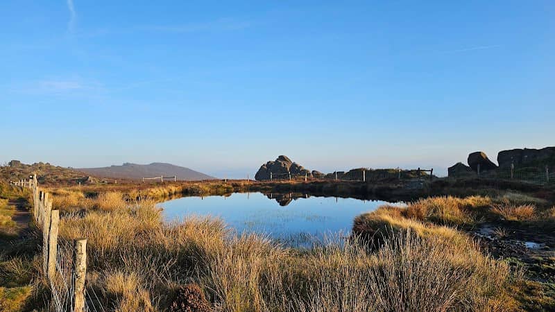 The Roaches - Image 1