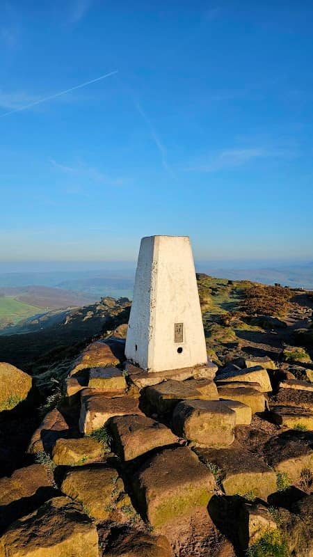 The Roaches - Image 3