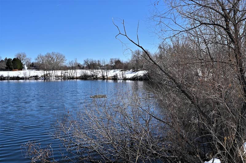 Ruston Park - Image 1