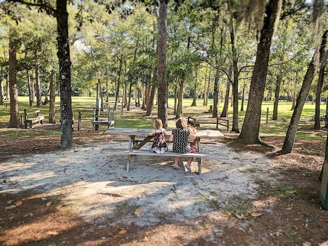 Bogue Falaya Wayside Park - Image 2