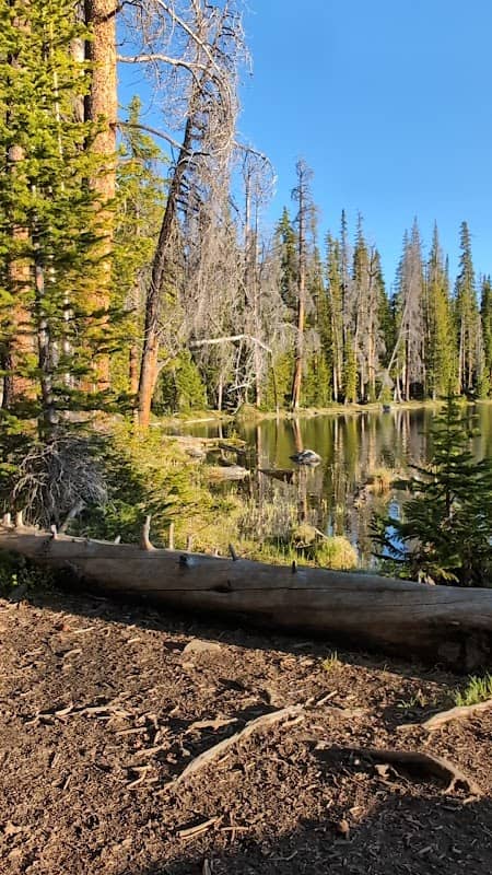 Lost Lake Trailhead #2 - Image 1