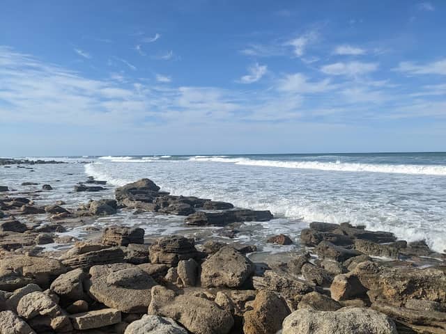 River to Sea Preserve - Image 2