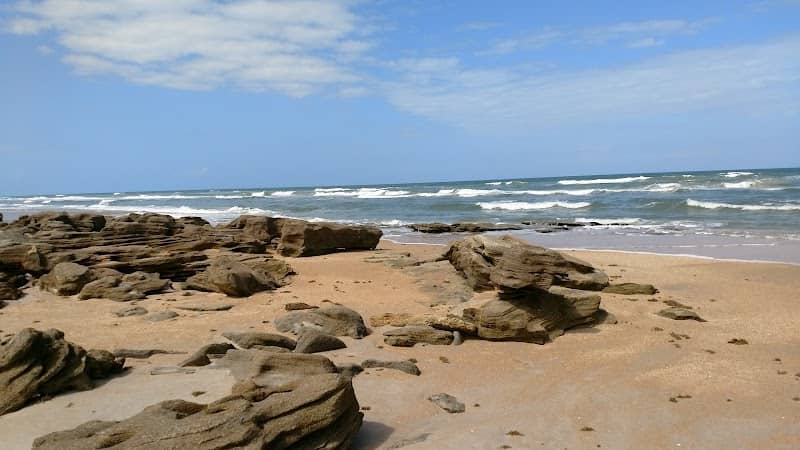 River to Sea Preserve - Image 3