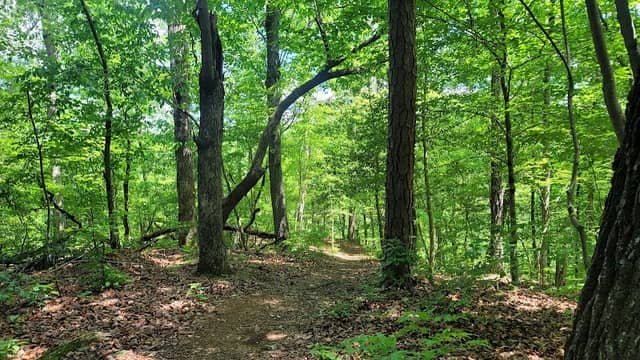 Flower Hill Nature Preserve - Image 2