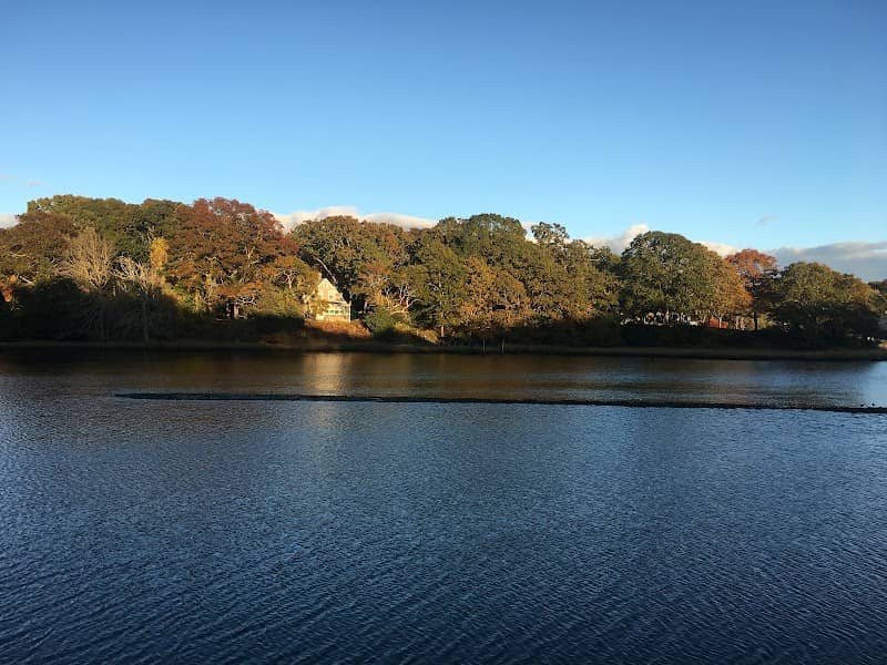Collins Island - Image 1