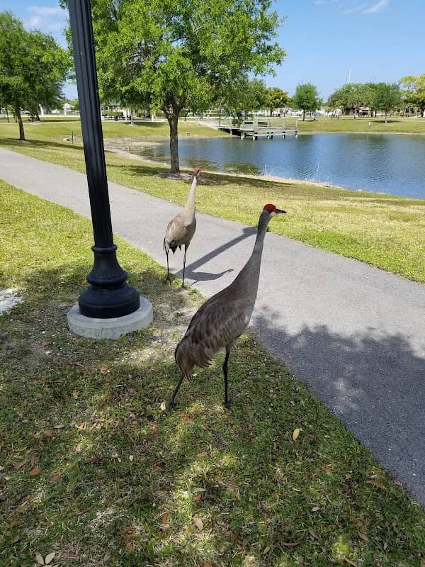 Todd A. Robiner Park - Image 3