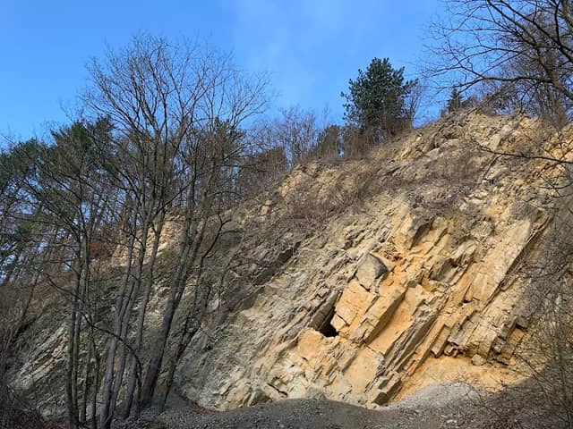 Muschelkalkwand Gebhardshagen - Image 1