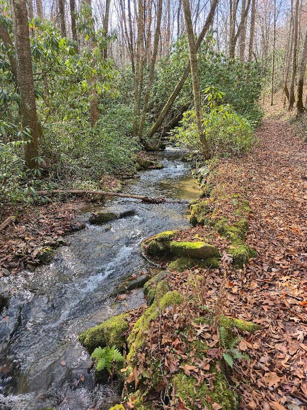 Mingus Mill - Image 3