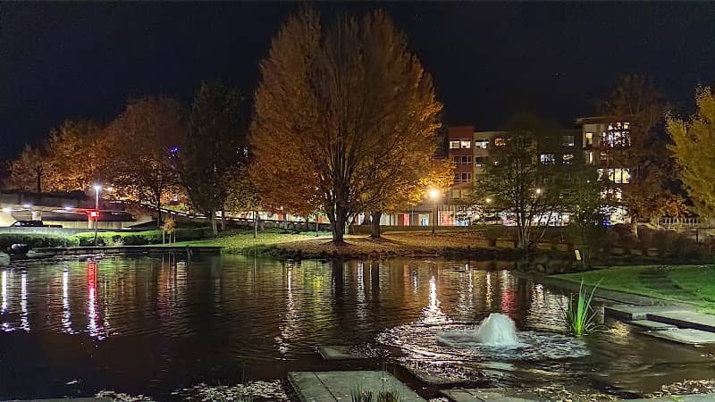 The Mirror Pond - Image 2