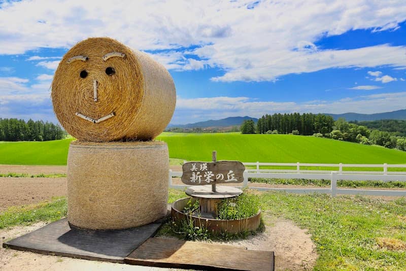 Shinei-no-Oka Observatory Park - Image 1