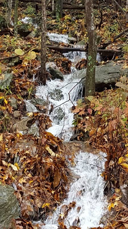 Apex Exploration & Hiking - Image 1
