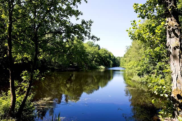 Warndtweiher - Image 1