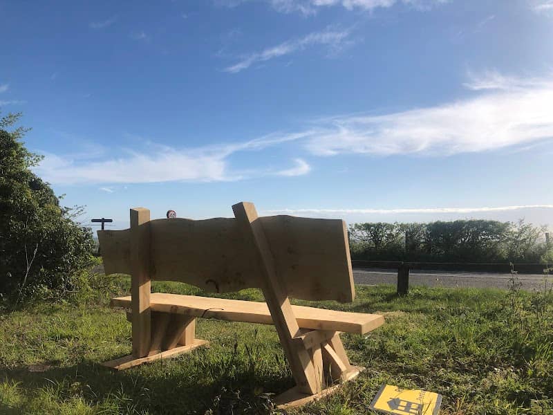 Farthing Common North Downs Scenic Viewpoint Memorial Bench - Image 1
