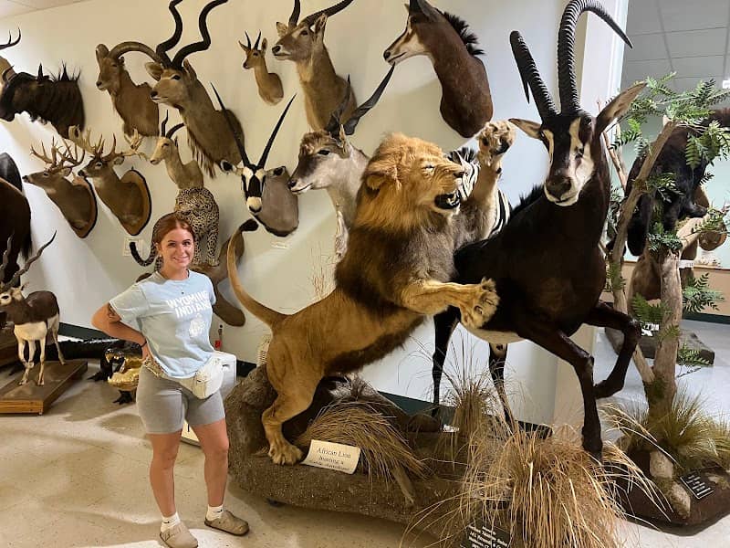 The Wildlife Sports and Educational Museum - Image 2