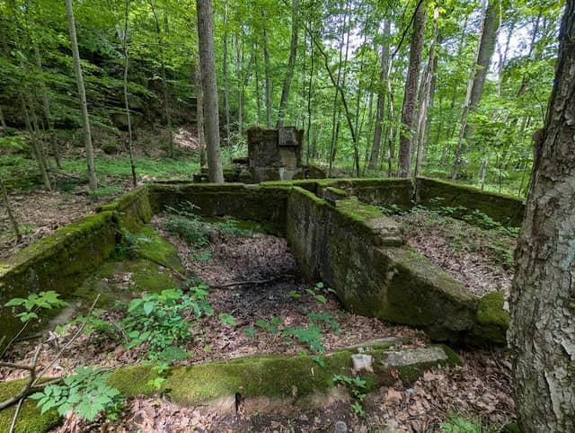 Fern Cliff Nature Preserve - Image 1