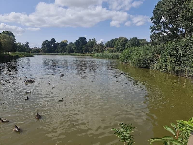 Oxpen Meadow Lake - Image 1