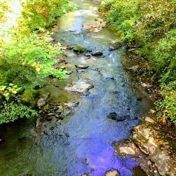 Bear Creek Nature Center - Image 1