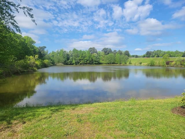 Chatham Trail - Image 1