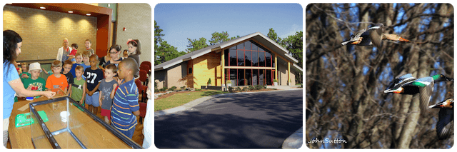 Halyburton Park - Image 1