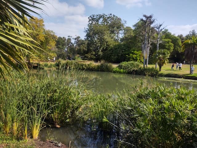 Arboretum and Botanical Garden at Cal State Fullerton - Image 2