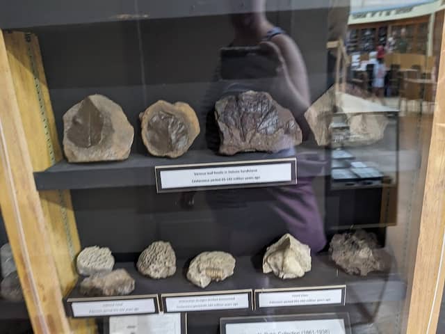 Derby Historical Museum - Image 1