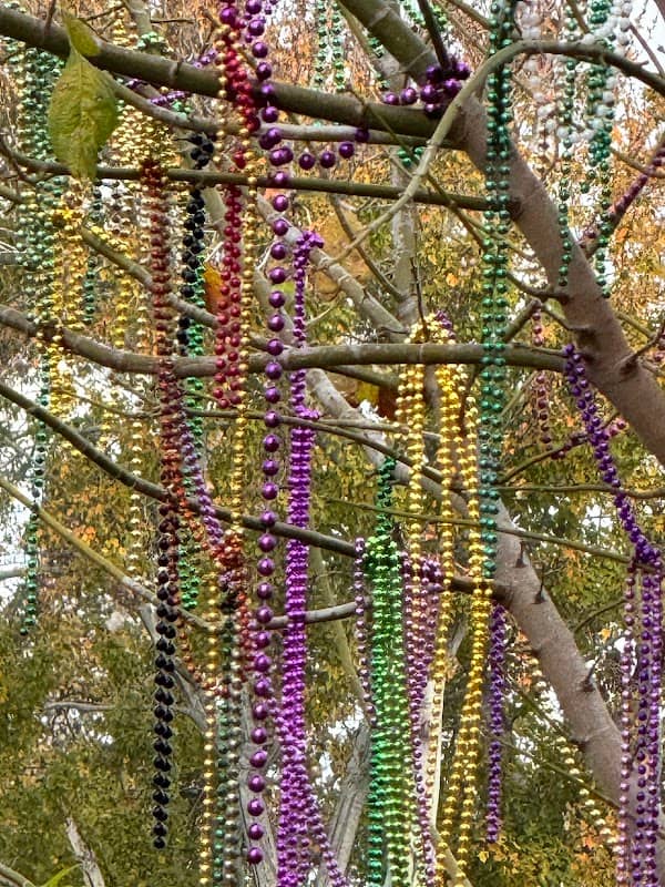 The Mardi Gras Tree - Image 1