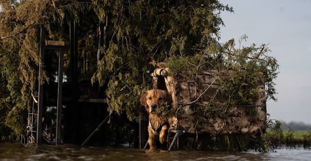 Swamp Nasty Outfitters - Image 1