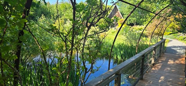 Sara's Garden - Image 1