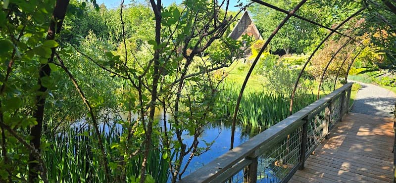 Sara's Garden - Image 1