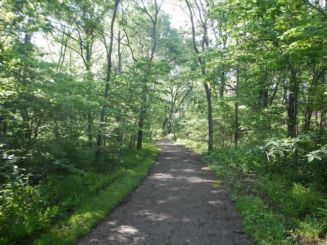 Hidden Woods Park - Image 1
