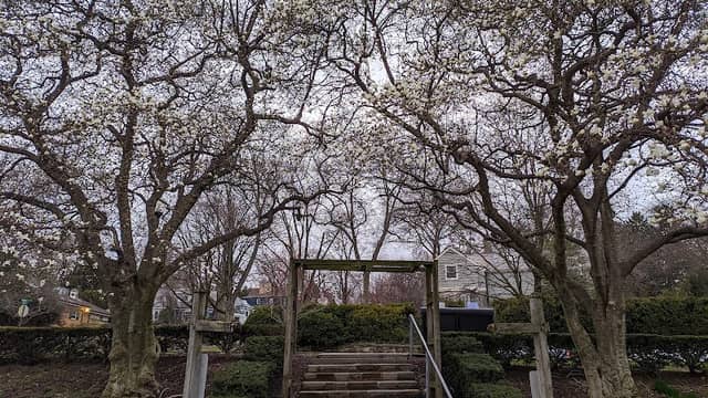 Allentown Parks - Image 1