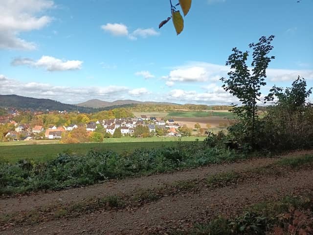 Sitzbank mit Blick auf Brunkensen - Image 1