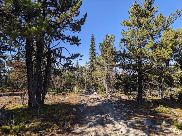 Bonaparte Mountain Trailhead - Image 1