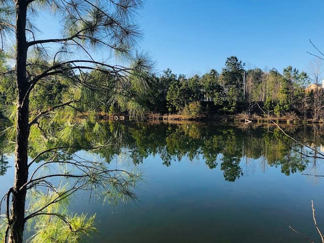 Alpharetta Greenway - Image 2