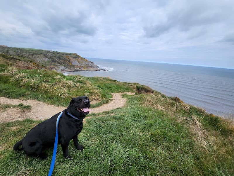 Cleveland Way - Image 3