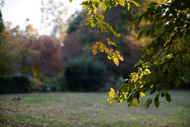 North Forest Hills Park - Image 1