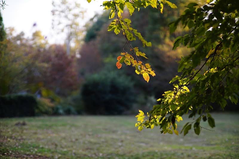 North Forest Hills Park - Image 1